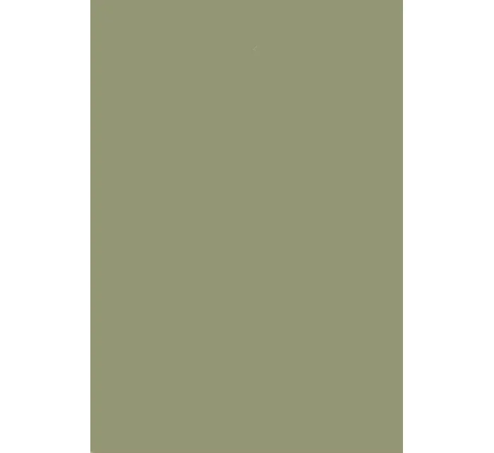 Dámské ponožky 073 - Steven Dámské ponožky 073 - Steven