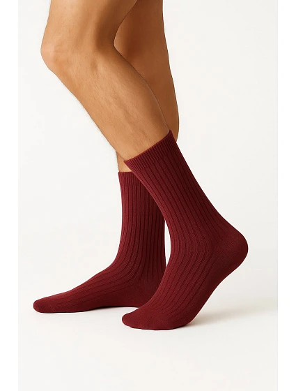 PÁNSKÉ PONOŽKY model 21782102 - GIANNA