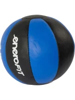 FIT model 21830265 - Enero