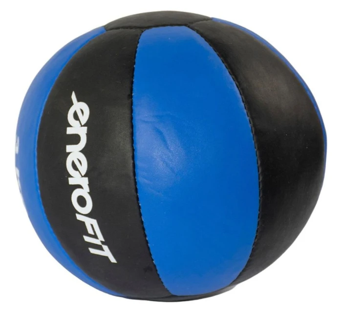 FIT model 21830265 - Enero