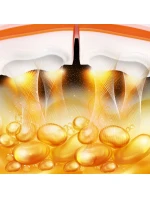 S A + model 21810696 - HMS S A + model 21810696 - HMS