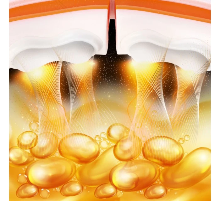 S A + model 21810696 - HMS S A + model 21810696 - HMS