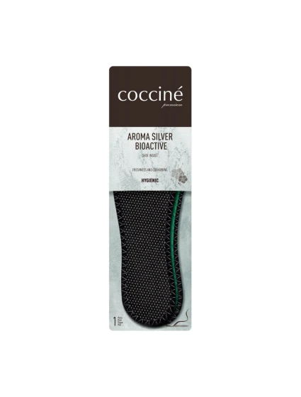 Silver model 21496264 - Coccine