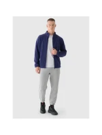 Pánský regular fleece se stojáčkem model 21433018 pánské - 4F Pánský regular fleece se stojáčkem model 21433018 pánské - 4F