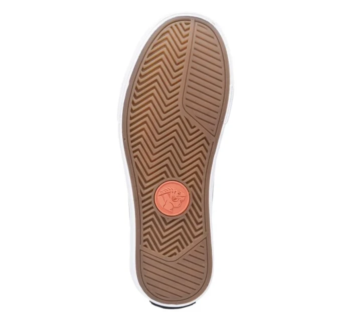 Iguana Osky TG Jr trenéři 92800602834