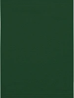 The One Towelling Guest 30x50 Ručník pro hosty 48.1003 green