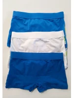 Chlapecké boxerky model 21872421 - Gasolineblu