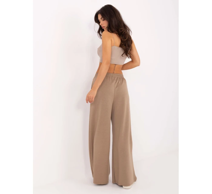 Spodnie IT SP model 21389022 ciemny bezowy - FPrice