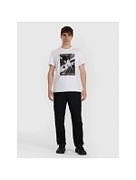 Pánské tričko 4F 4FRAW25TTSHM3258-10S