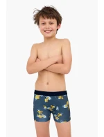 BOXERKY BOY YOUNG 700 W/26