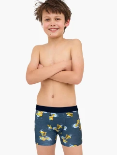 BOXERKY BOY YOUNG 700 W/26