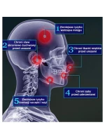 chránič + krabička | model 21438085 - DBX Bushido chránič + krabička | model 21438085 - DBX Bushido