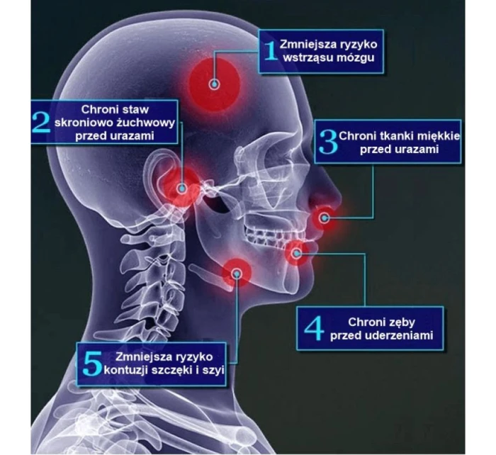 chránič + krabička | model 21438085 - DBX Bushido chránič + krabička | model 21438085 - DBX Bushido