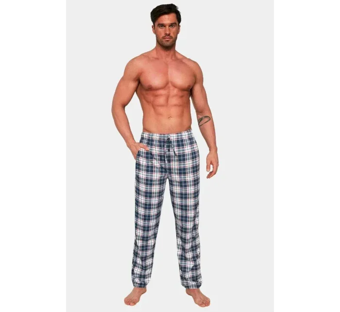 SPODNIE MĘSKIE model 20827616 W/25 - Cornette