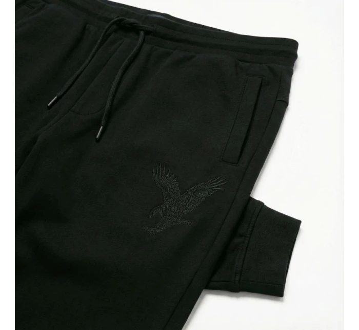 Pánské sportovní kalhoty Armani Exchange černé (6DZPAB-ZJKBZ-1200)