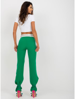 Kalhoty DHJ SP 6971.37P zelená