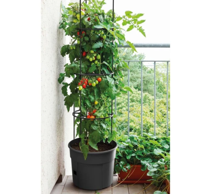 Rajčatový hrnec s žebříkem o objemu 28 l Rajčatový hrnec s žebříkem o objemu 28 l