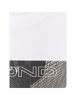 Pánské tričko 4F 4FRAW25TTSHM3258-10S