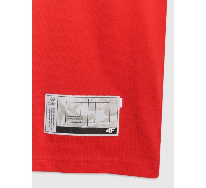 Pánské volejbalové tričko s potiskem 4F 4FRAW25TTSHM3319-62S