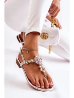 Dámské sandály žabky s kubickými zirkony stříbrne Solea Dámské sandály žabky s kubickými zirkony stříbrne Solea