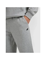 Pánské joggerové tepláky 4F 4FRMM00TTROM1625-27M