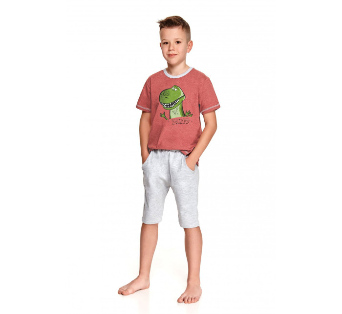 Chlapecké pyžamo   model 15142377 - Taro