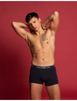 Bokserki A'3 model 20256411 - Lama Bokserki A'3 model 20256411 - Lama