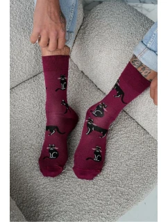 Pánské ponožky Cats 0125.034