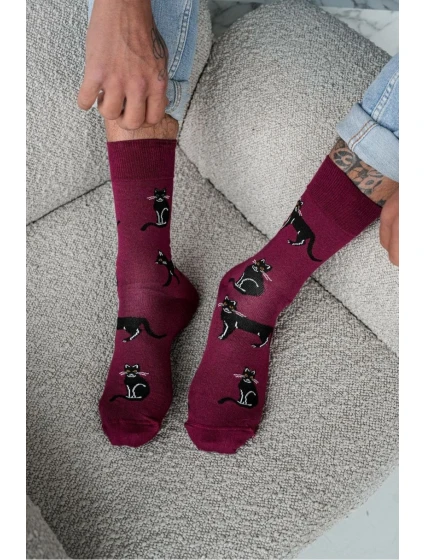 Pánské ponožky Cats 0125.034