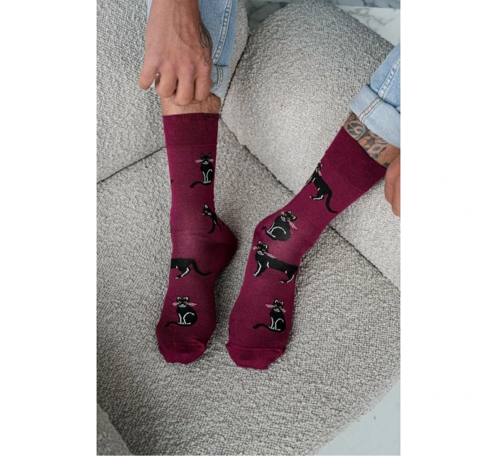 Pánské ponožky Cats 0125.034