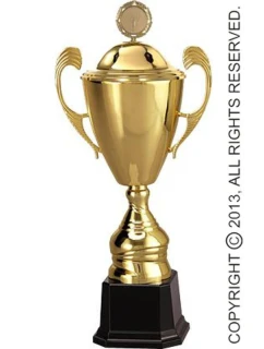 Zlatý kovový hrnek s víčkem