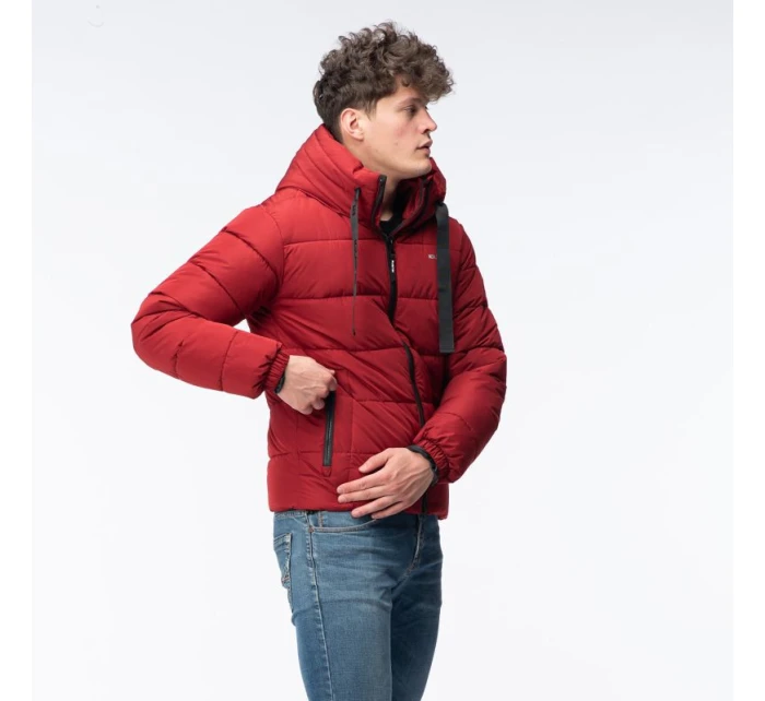 Pánský prošívaný zimní kabát model 21417557 - Iguana