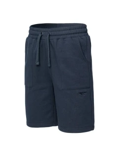 Pánské šortky AZYNI