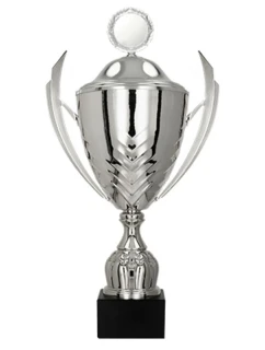 Kovový hrnek s víčkem