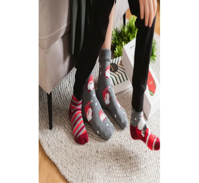 Obrázkové ponožky model 20816305 037 - Steven