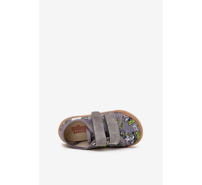 Pantofle Chlapecké S  Šedé model 21705469 - Milami