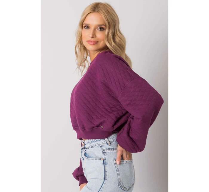 Mikina  model 169773 BFG