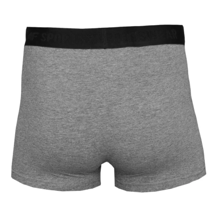 Pánské slipy M H4L22-BIM350-90M - 4F