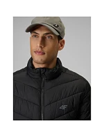 Kurtka z wypełnieniem męska pánské model 22550160 - 4F Kurtka z wypełnieniem męska pánské model 22550160 - 4F