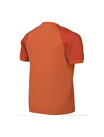 Tričko DriFIT Trophy VI model 22300488 - NIKE