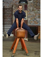 Men Pánské žerzejové polo night blue model 22500546 - NEOBLU