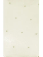 Dámské ponožky Gatta Stylové 02 20 den Dámské ponožky Gatta Stylové 02 20 den