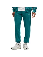 Pánské kalhoty Puma Ess 2 Color No.1 Logo green 684714 41 Pánské kalhoty Puma Ess 2 Color No.1 Logo green 684714 41