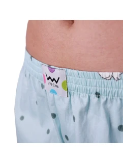 Dámské trenýrky model 21275351 - Vuch