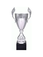 Stříbrný kovový pohár model 21827653 Stříbrný kovový pohár model 21827653