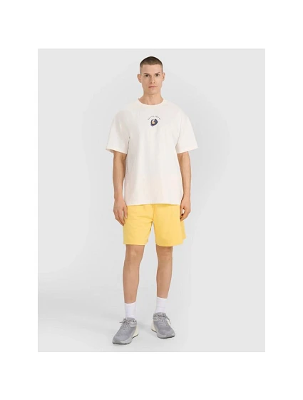 Pánské tričko oversize s potiskem model 21736339 - 4F