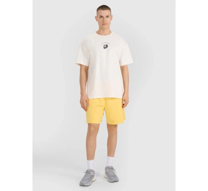 Tričko 4F M 4FRSS25TTSHM2981-11S