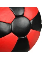 Cvičební medicinbal ARB-2301 - 3 kg Cvičební medicinbal ARB-2301 - 3 kg