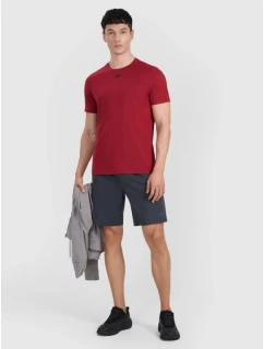 Spodenki męskie model 21460720 - 4F