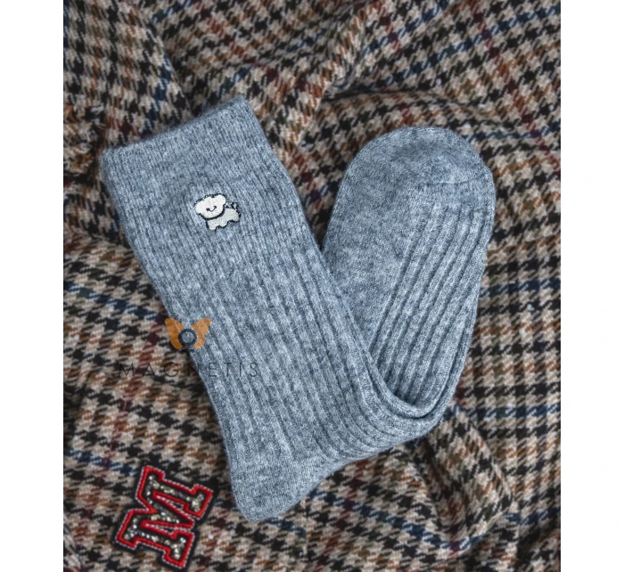 Ponožky model 21320493 - Magnetis